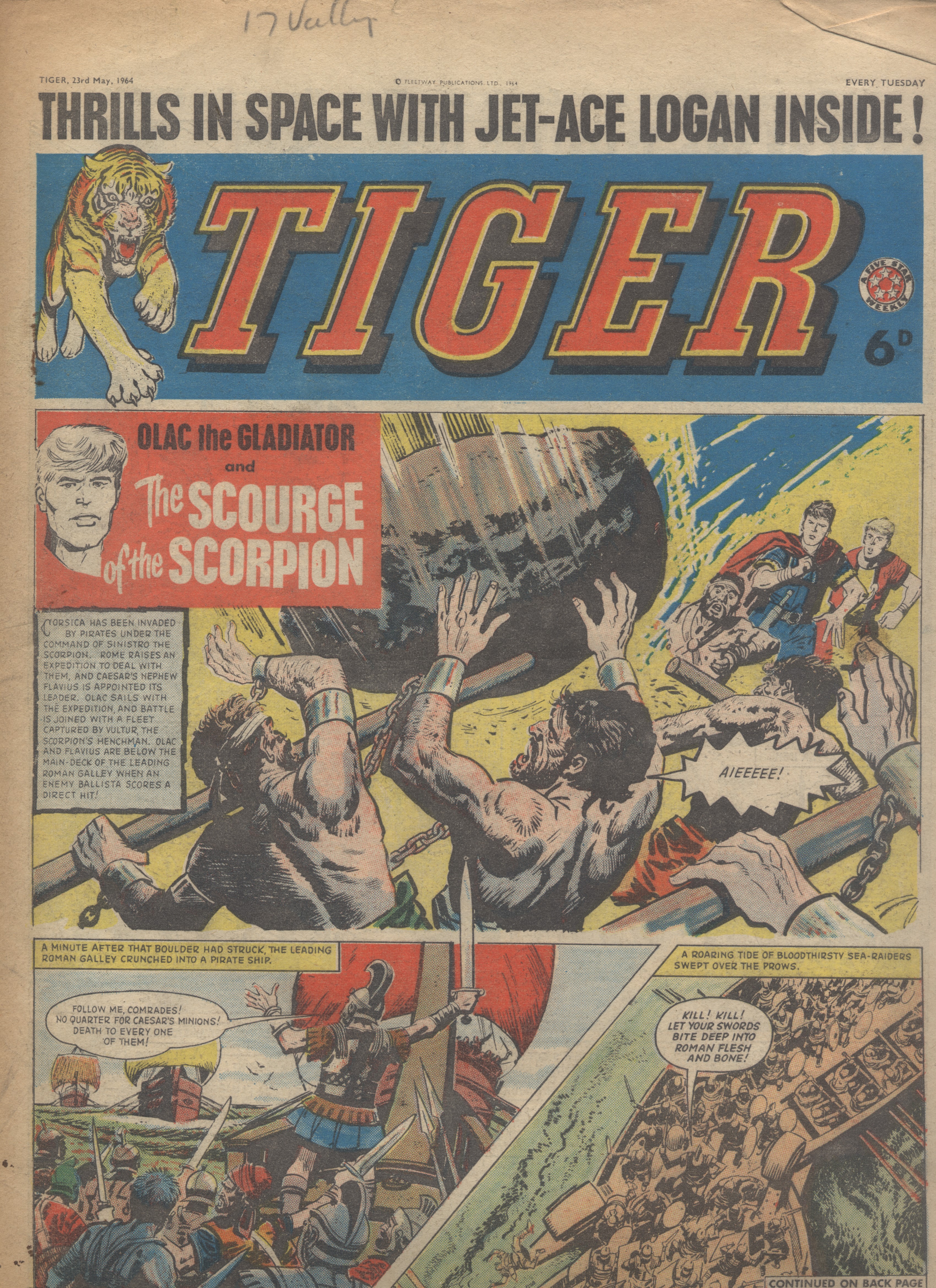 Tiger